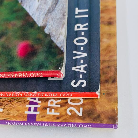 Mary Janes Farm Magazine Lot of 3 June - November 2022 Courage Dream Sunbeams - Picture 6 of 9